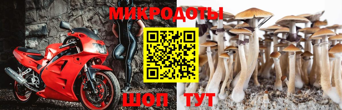 Галлюциногенные грибы MAGIC MUSHROOMS Рязань